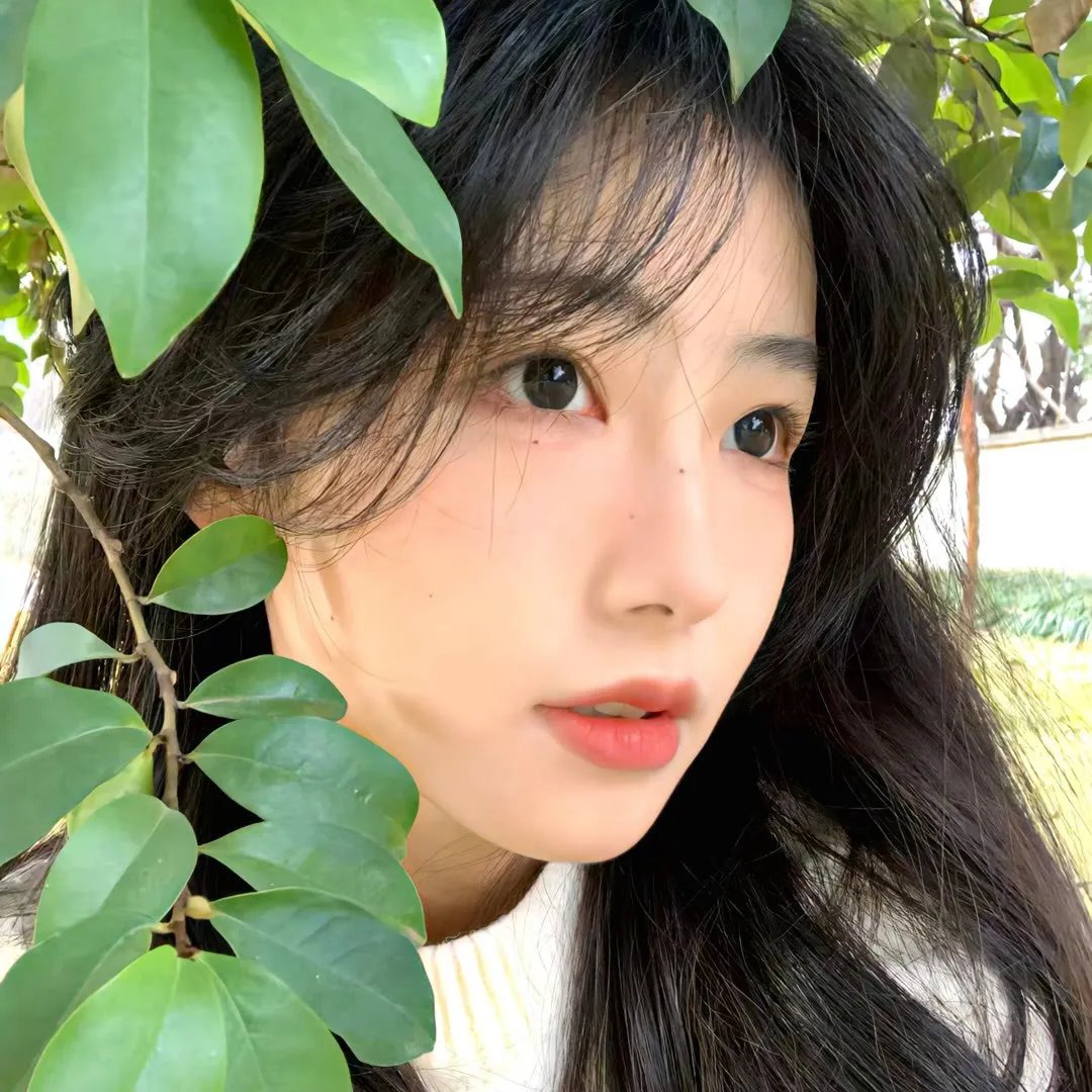 安妮的一千日